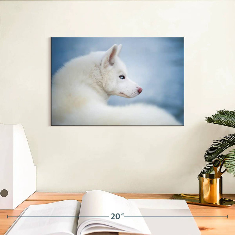 Husky blanc pur Brampt, H 8 po x l 12 po
