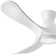 Swell 56'' Ceiling Fan with LED Lights