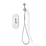 Twenties Shower Set: Long Hose, Handset, Wall Bracket and Water Intake