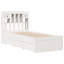 Aaryash Solid Wood Storage Bed-1999773549-1999773554
