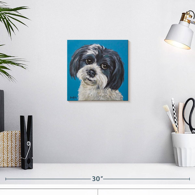 Maltais Shih Tzu Mix Maggie, H 10 po x l 10 po