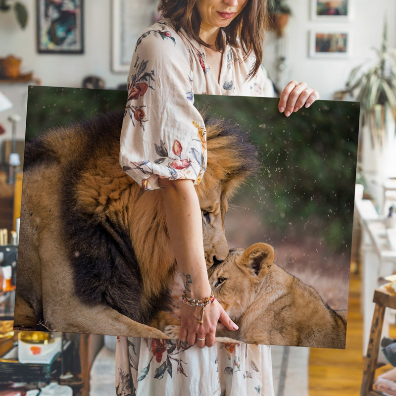 Toile dans un moment intime tranquille, un lion majestueux avec un art mural, H 11 po x l 14 po