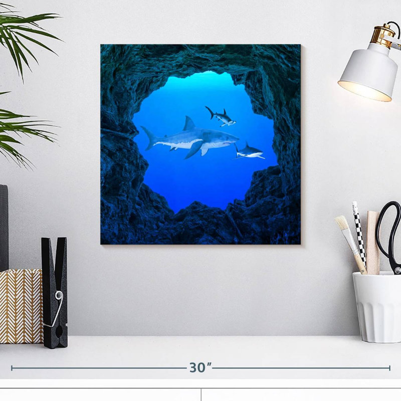 Crowle Sharks Ocean Hole, 16" H x 16" W