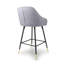 Adedeji Upholstered Counter Stool with Metal Frame-1049449666