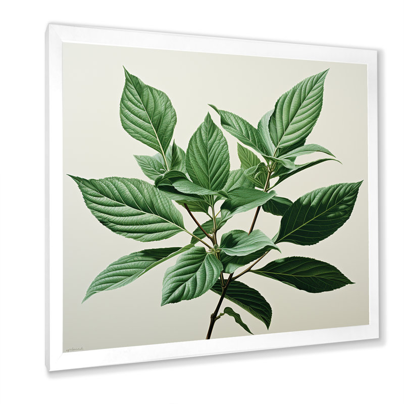Menthe fraîche, feuilles de minimalisme sérénité II, Cadre simple blanc, H 24 po x l 24 po x P 1 po