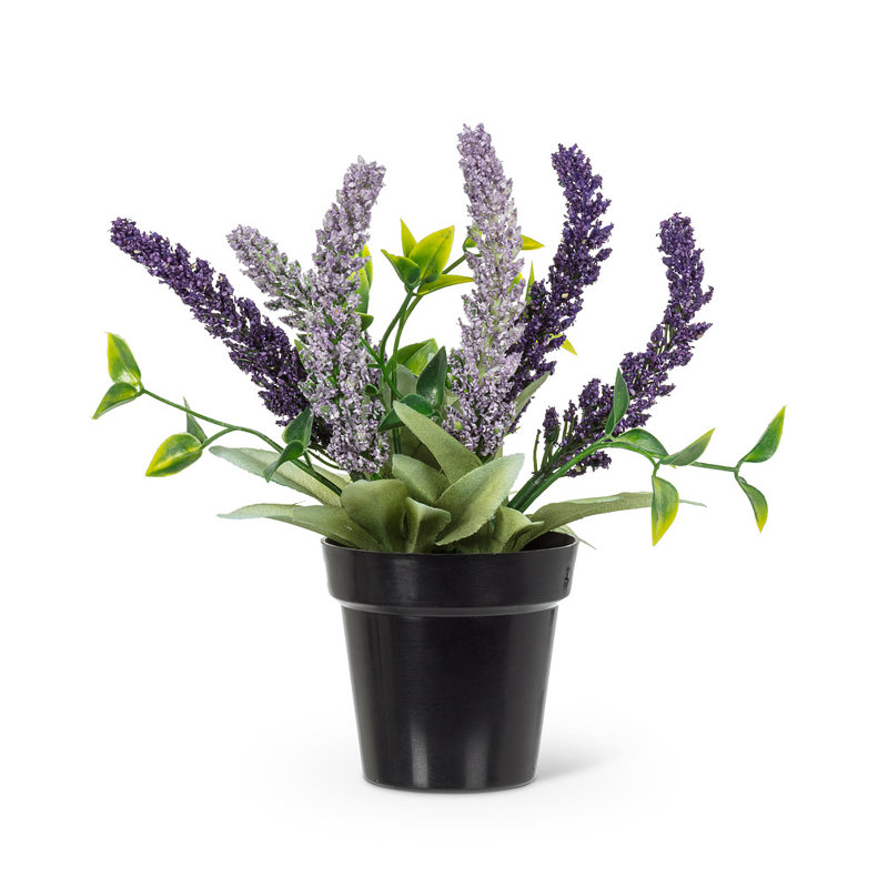 Fabric Lavender Arrangement in Pot