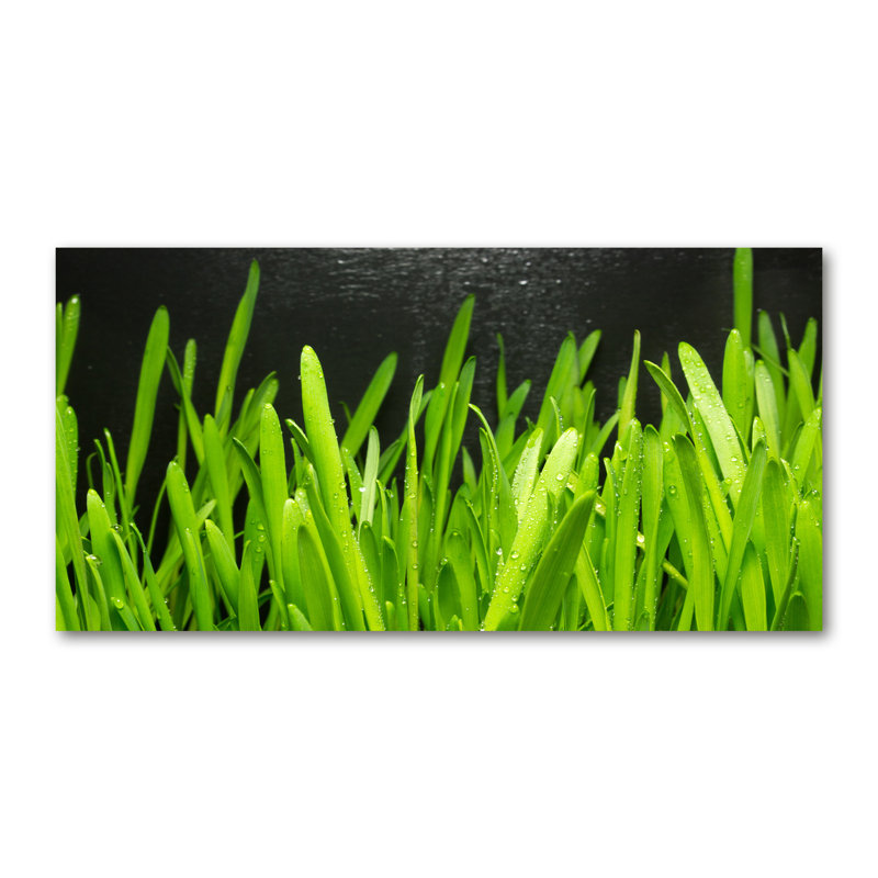 Grass - Wrapped Canvas Print