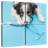 Brampt Dog Doctor