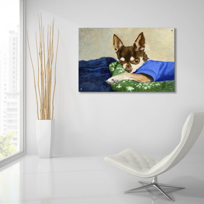 Alcott Hill® 'Getting Cozy' by Darlene Pavlovich Acrylic Glass Wall Art