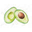 Reproduction d'avocat aquarelle sur toile