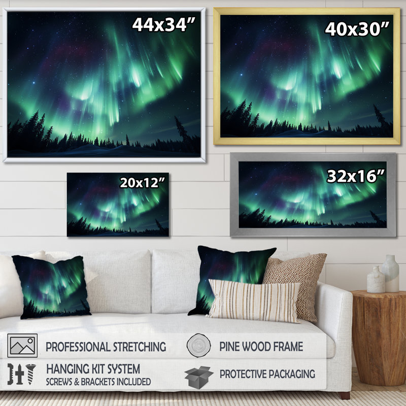 «Canadian Boreal Ballet 4 - Northern Lights», art mural, Cadre flottant noir, H 12 po x l 20 po x P 1 po