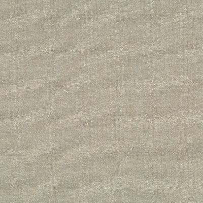 Solids & Textures I 17 Uph Fabric