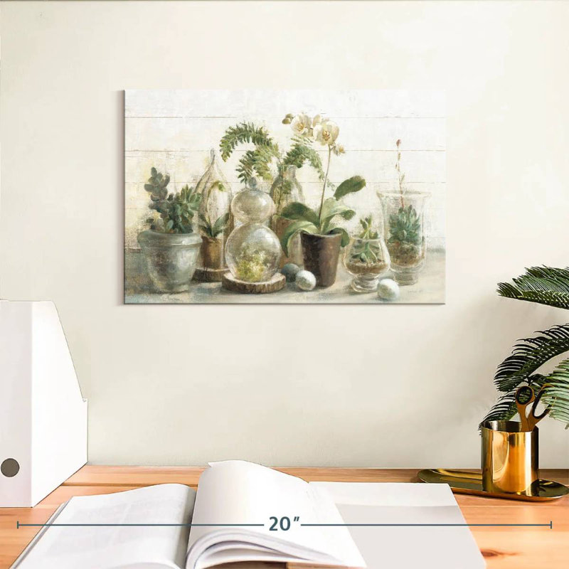 Orchidées Harnek Greenhouse I, H 8 po x l 12 po