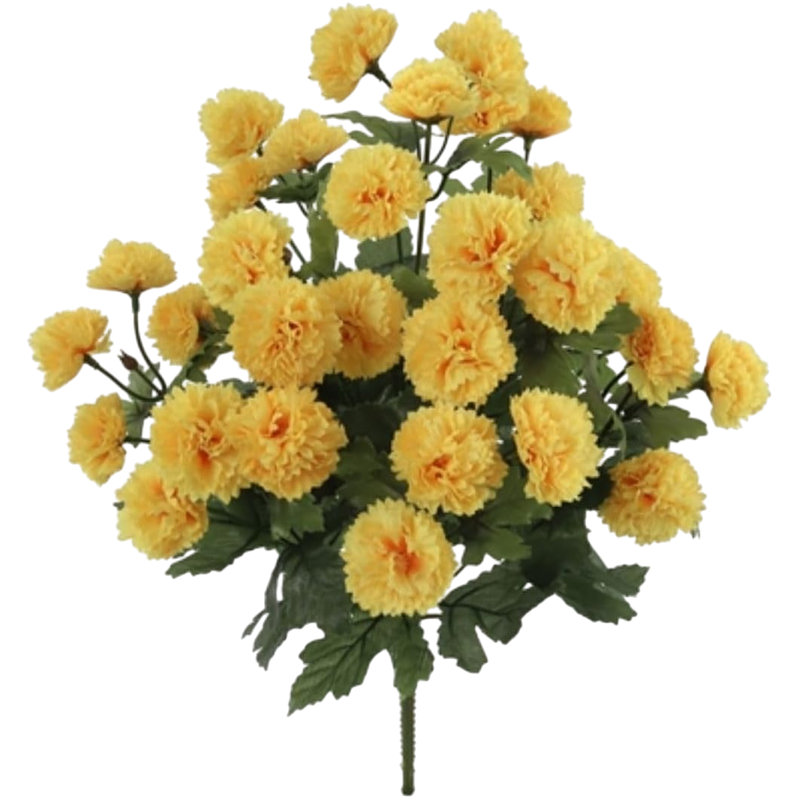 18 "maman buisson - paquet de 2