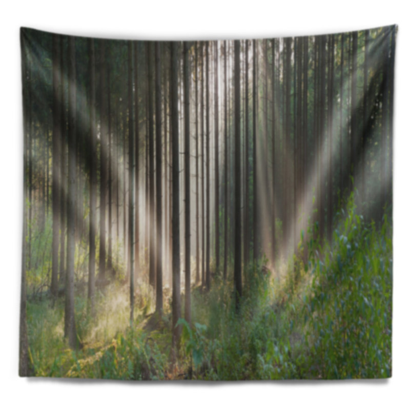 Paysage, forêt verte, brume, tapisserie panoramique, H 50 po x l 60 po