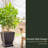 Myung Pot Planter-28914479-28914476-66402031