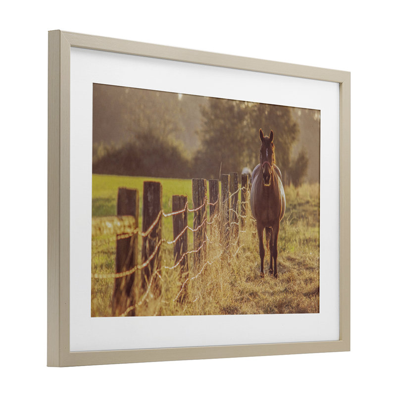 «Horse's Farm at Dawn», reproduction sous verre encadrée, design par Norm Stelfox, H 14 po x l 20 po, Cadre de récolte en pin