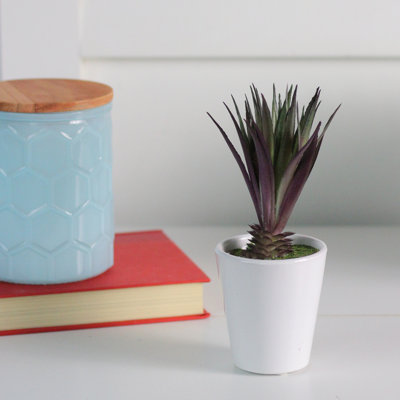 Plante grasse artificielle rouge et verte en pot 7,5 po Aloe Vera