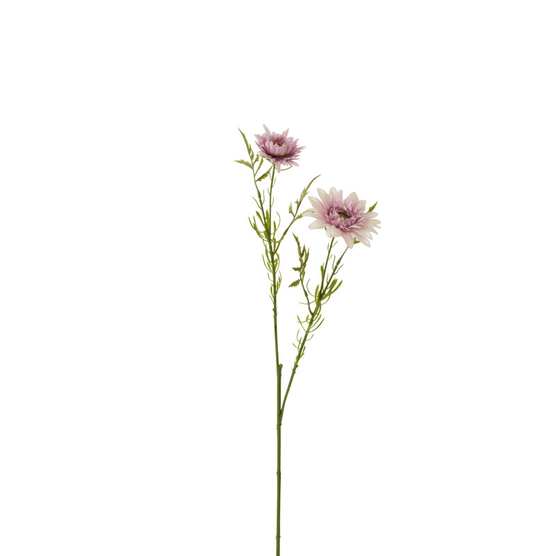 Daisy Arrangement, Light Purple