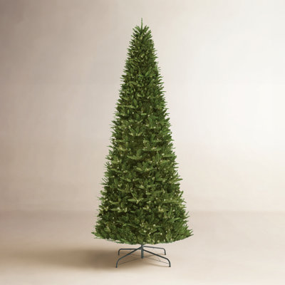 144' Lighted Artificial Fir Christmas Tree