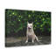 No Frame Print on Canvas