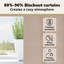 Tacorian Curtain Pair-2003193287-2003193399