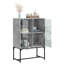 Aanvi Steel Standard Accent Cabinet-1763828321