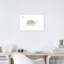 Tortue - imprimé-52819124-52819126-52819125