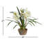 Cymbidium Floral Arrangement in Pot-2009286511