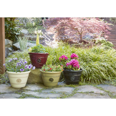 Pot à fleurs 15,25 "Modesto
