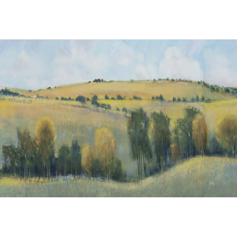 Valley Field I by Tim OToole - Wrapped Canvas Print, 30cm H x 46cm W x 3.8cm D