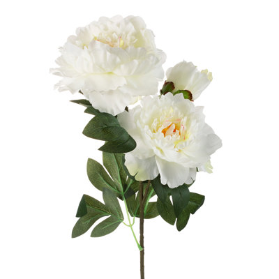 Tige de pivoine 28 po