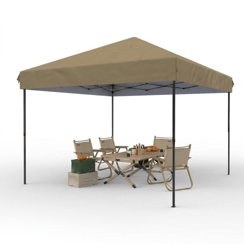 Tente à auvent escamotable 10 x 10, abri facile à monter en fer robuste avec tissu Oxford 210D, abat-jour portatif pour le camping