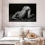 Bodyscape VI-108115625