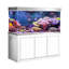 Réservoir d'aquarium 50 gallons-62932841-64523152