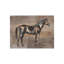 Legacy I Print by Elena Carlie-26945642-26945636