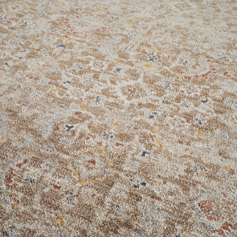 Rochele Collection Vintage Design Area Rug, 5'3 x 7'6