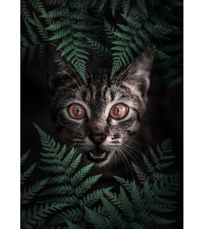 Wrapped Canvas Print, 91.44 cm H x 60.96 cm W