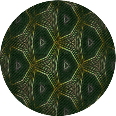 Performance Wool Indoor Rug
