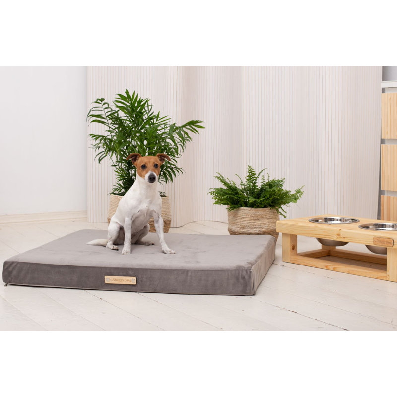 Orthopedic Polyester Pet Bed, 11cm H x 95cm W x 75cm D, Grey