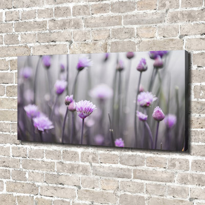 Flowers Of Chives - Wrapped Canvas Print