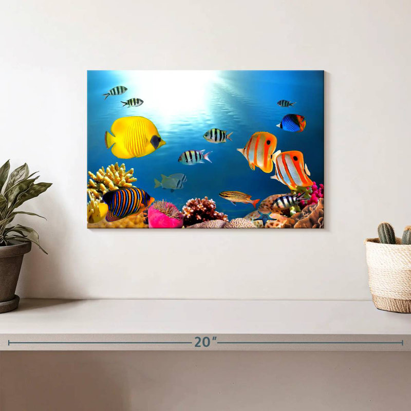 Poissons tropicaux et coraux, H 8 po x l 12 po