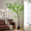 Arbre à feuilles 300CMARTIFICial-552483323