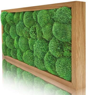 Moosbild Islandmoos Wall Décor