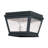 Bethlyn 8'' W Outdoor Flush Mount-725087847