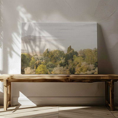 Nature's Veil Rolled Canvas Print