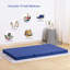 Matelas à plateau-coussin moyen 3 "Capps-88087254