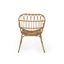 Chaise Harlem