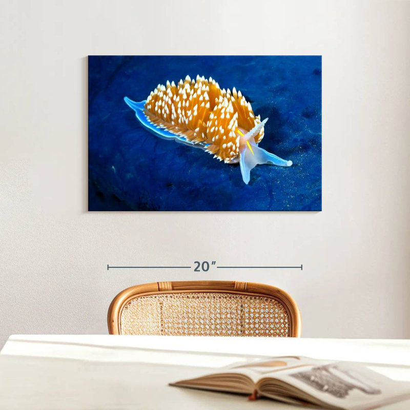 Crowle Glowing Nudibranch, 16" H x 24" W