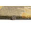 Tapis oriental moderne brun clair 8X11